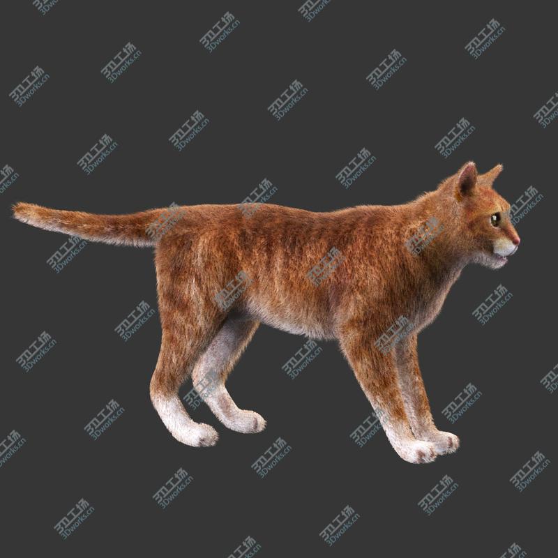 images/goods_img/2021040164/Cat Red Rigged/1.jpg